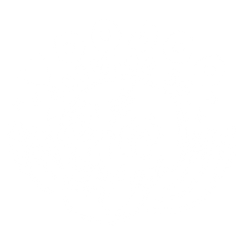 Voodoo Brewing Co logo