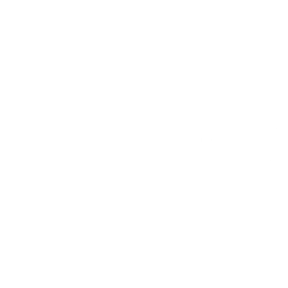 Splash & Dash Groomerie logo