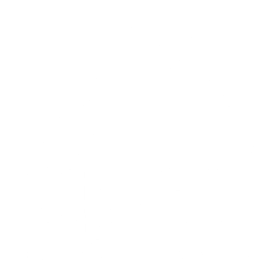 Apex Leadership logo